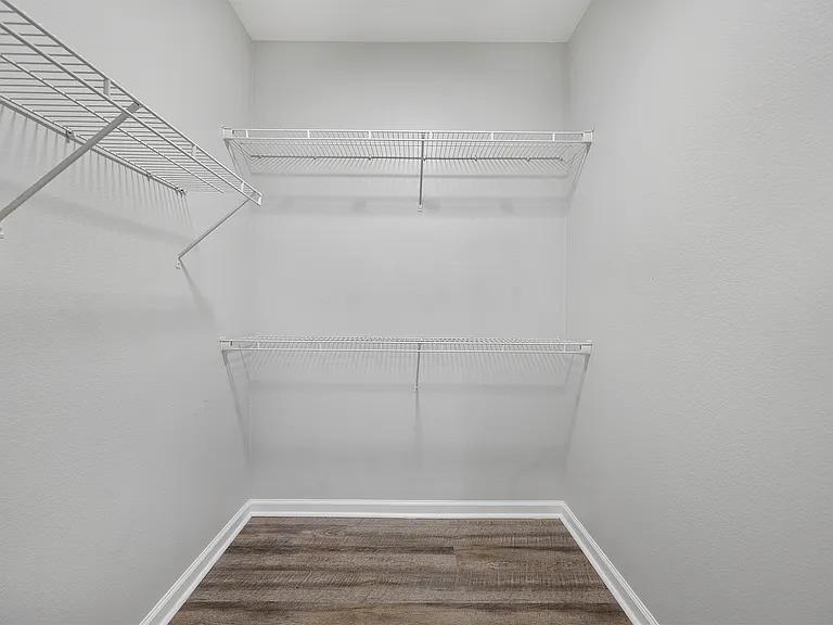 Closet with Shelving