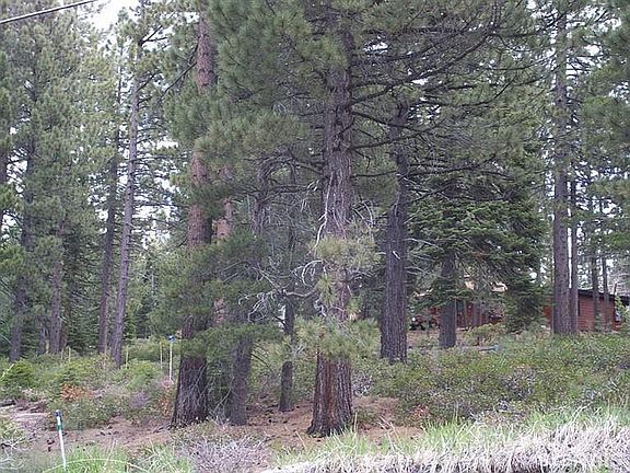 5th image of 1831 Elks Club Dr