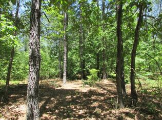 1507 Stewart Road, Ellaville, GA 31806