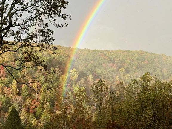 5th image of 2318 Little Bend Rd