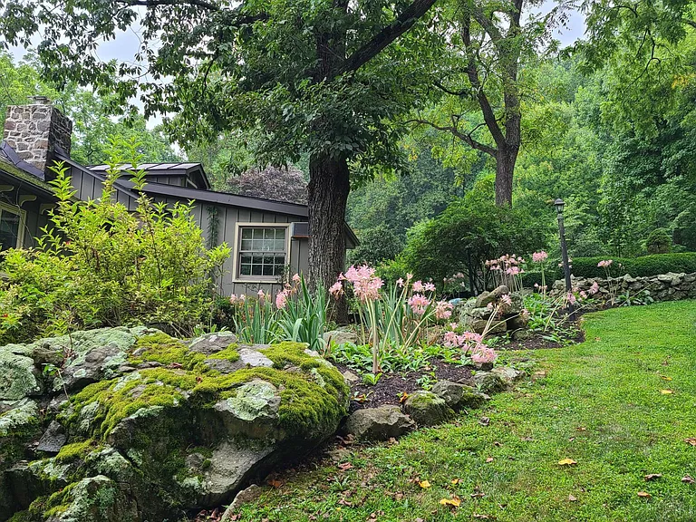 Rock garden displays the beauty of the mountain.