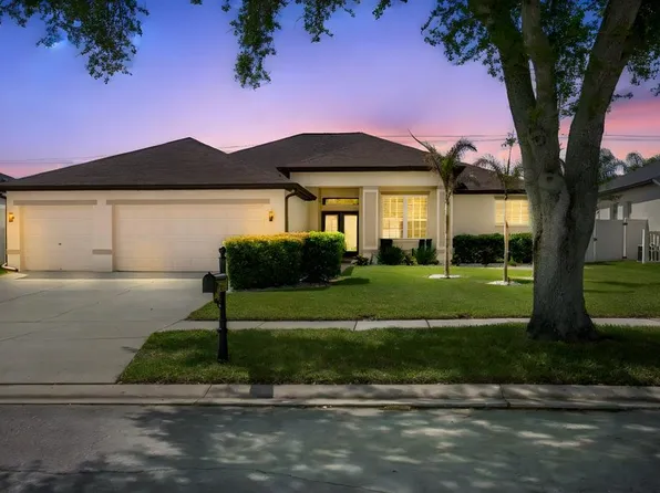 2814 Duncan Tree Cir, Valrico, FL 33594