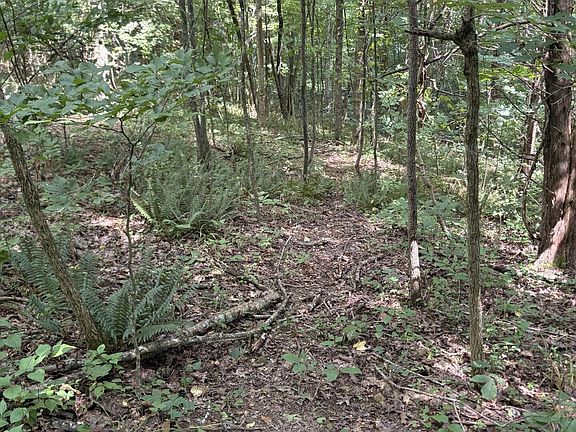 4th image of TRACT 4 499 Gumm Rd