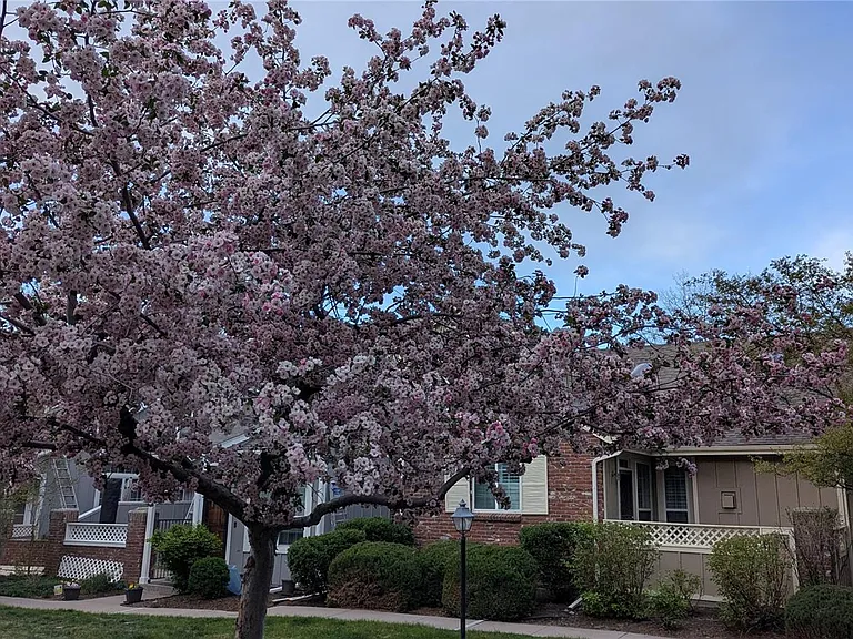 3004 W Long Dr #A — Photo 5