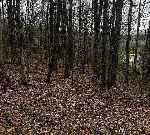4th image of 197 County Rd