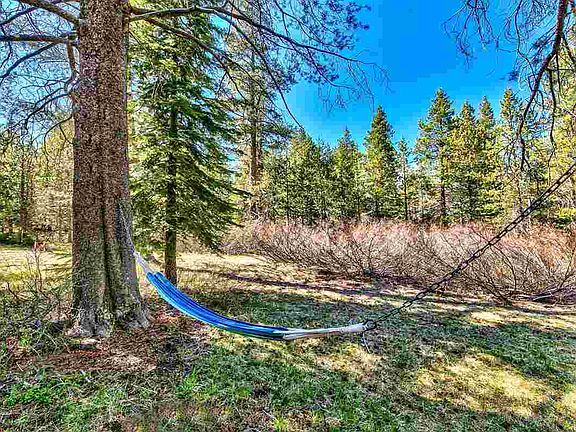 5th image of 12520 Saint Bernard Dr