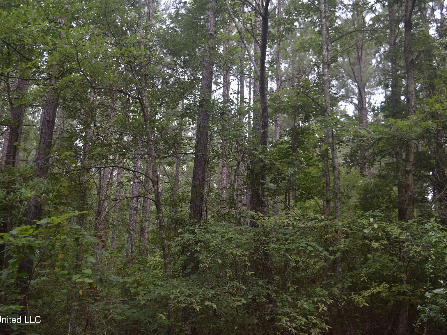 0 Sulphur Springs Rd, Camden, MS 39045 MLS 4055955 Zillow