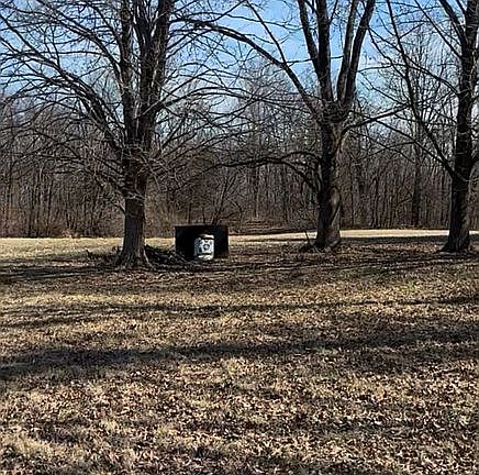 3rd image of 146 Wagon Wheel Rd