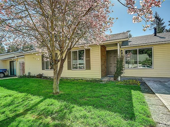 Darling dogwood tree in your front yard, welcoming and cheery!