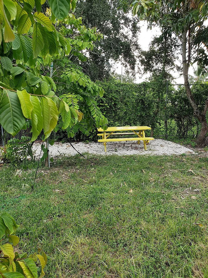 1 bed, 650 sqft, $1,500 — Photo 4