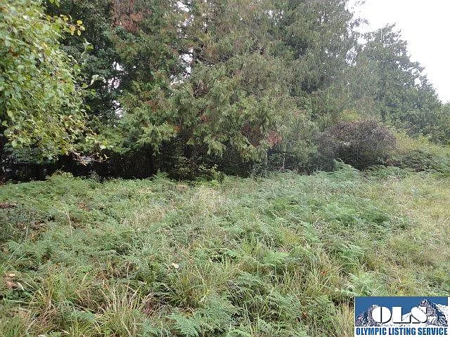 103 Aspen Ln photo 1