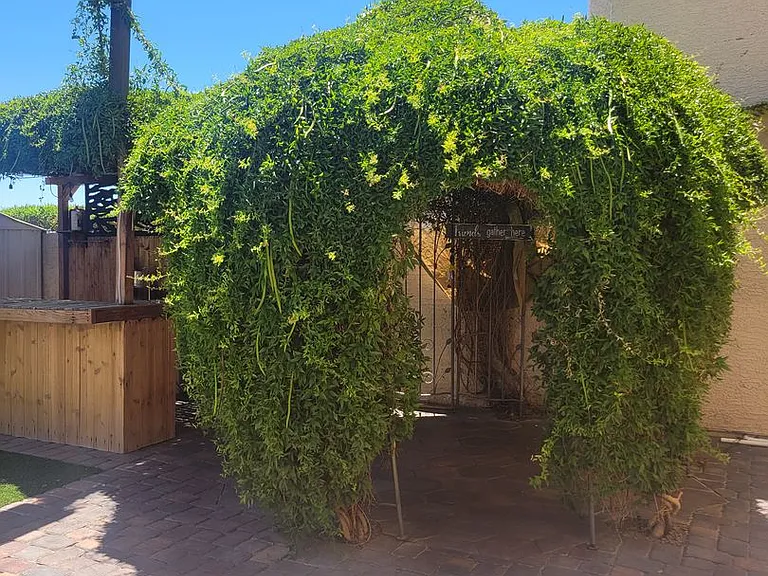 1520 Pacific Terrace Dr — Photo 50