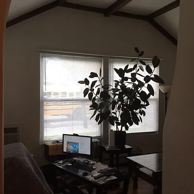 Rented by George Realty Group LLC | media 25