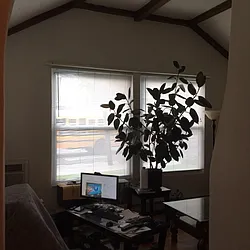 Rented by George Realty Group LLC