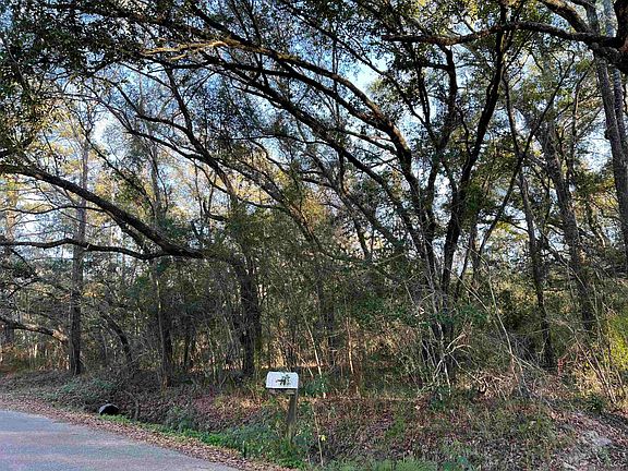 4th image of Tba Vis