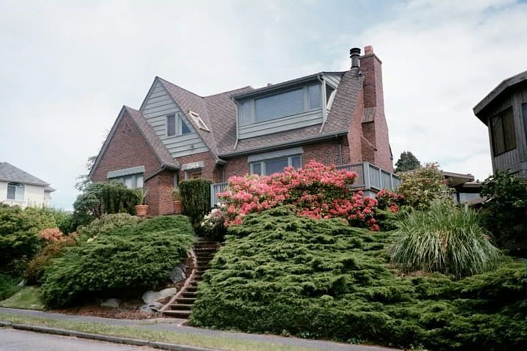 Extra LARGE yard with mature shrubbery 