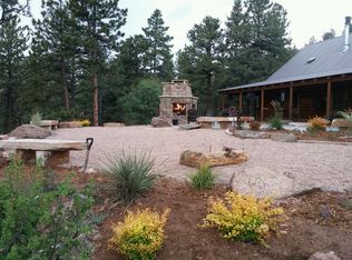 29054 Mangy Moose Trl, Pine, CO 80470