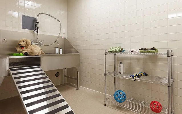 Rented by Lisa Management | media 32