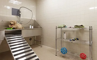 Rented by Lisa Management