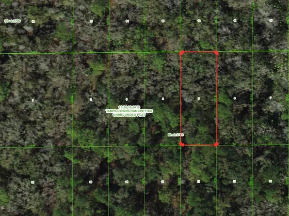 Unassigned Lot 5, Wesley Chapel, FL 33544