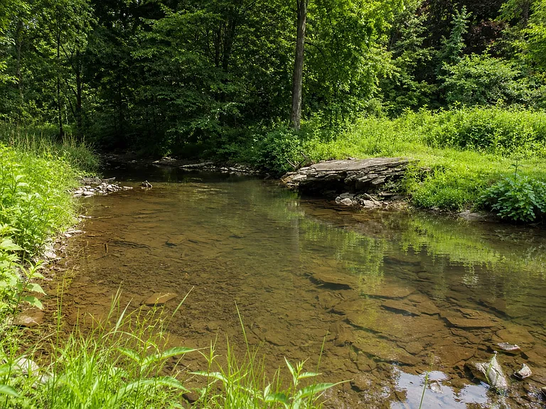 Webatuck Creek