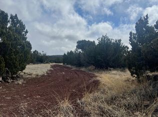 107-43 Ten #C, Concho, AZ 85924