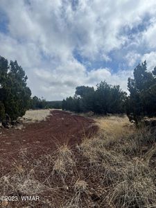 107-43 Ten #C, Concho, AZ, 85924