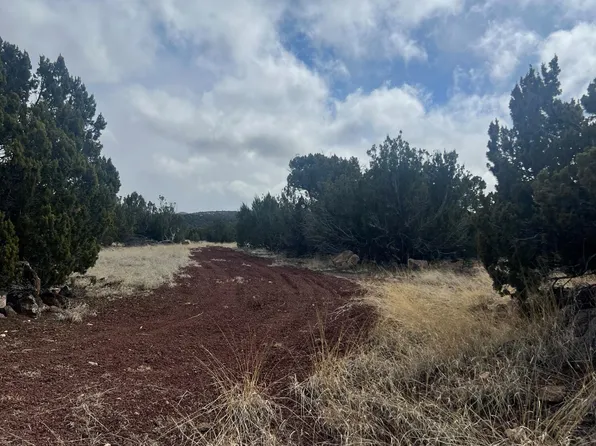 107-43 Ten #C, Concho, AZ 85924