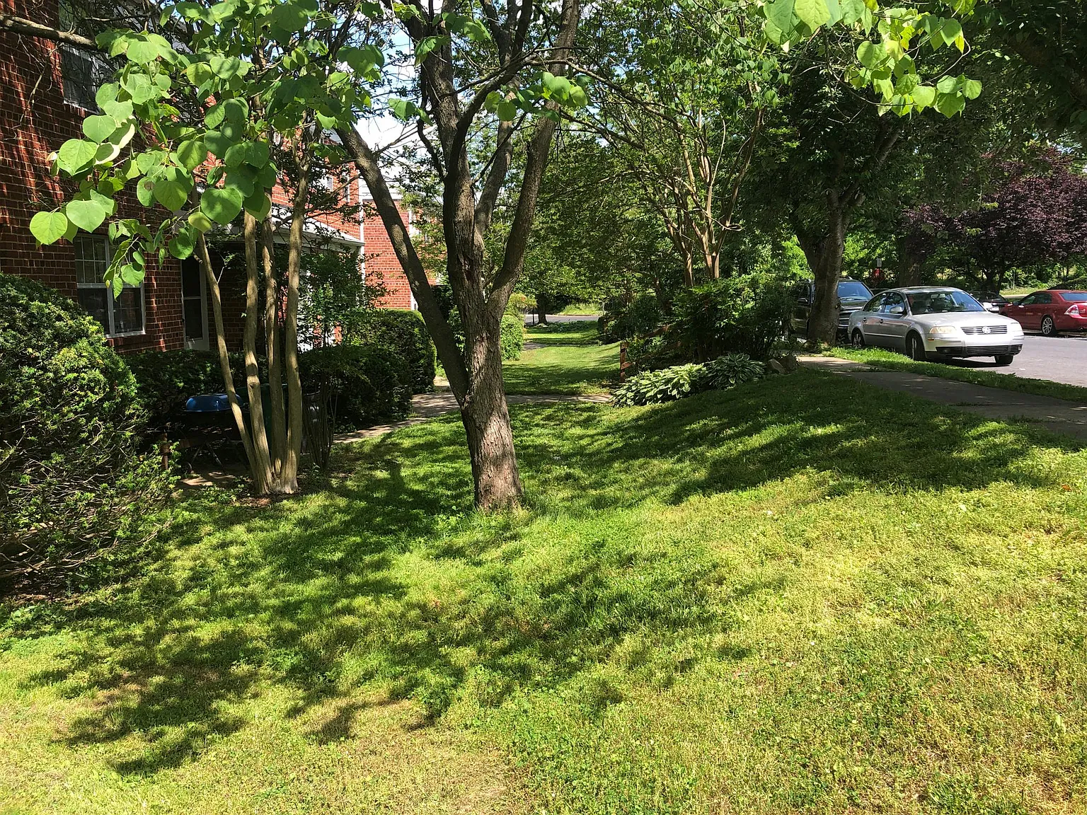 2 bed, 700 sqft, $1,395 — Photo 3