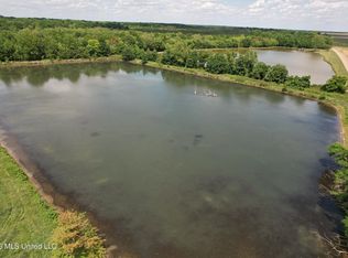 Jenkins Rd, Alligator, MS 38720