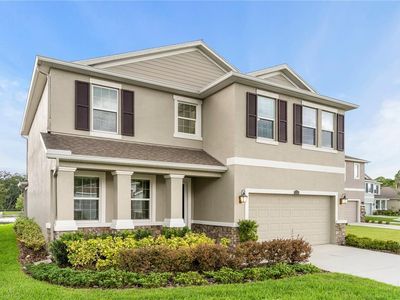 12532 Candleberry Cir, Tampa, FL, 33635