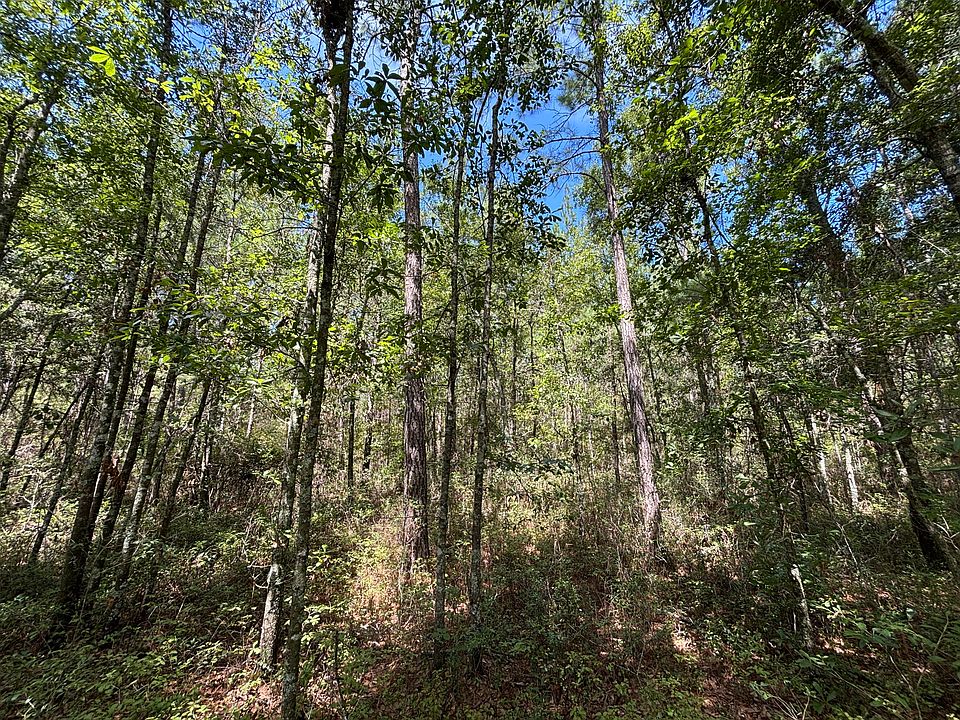 1st image of 10 Red Oak Rd