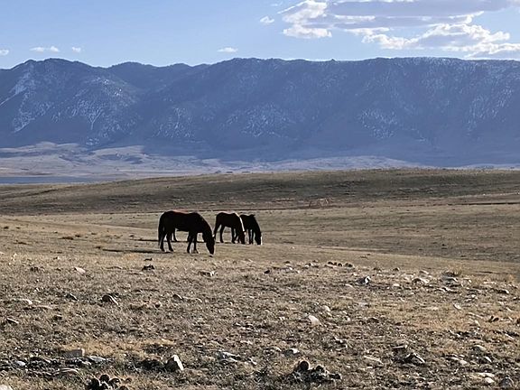 2nd image of 113 Wild Horse Ranch Outlaw Rd
