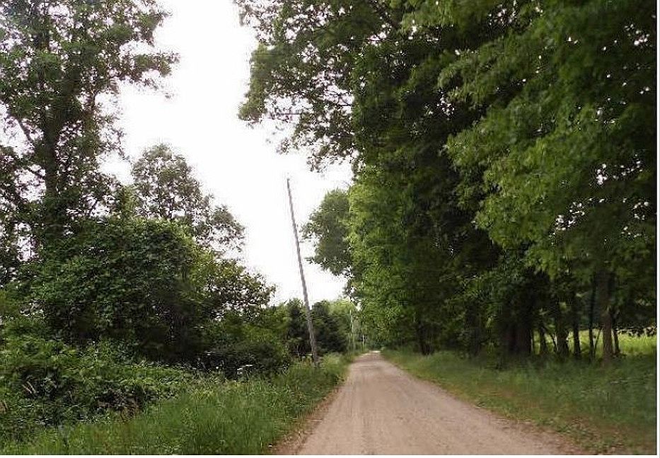 Exterior Neighborhood (street photo)