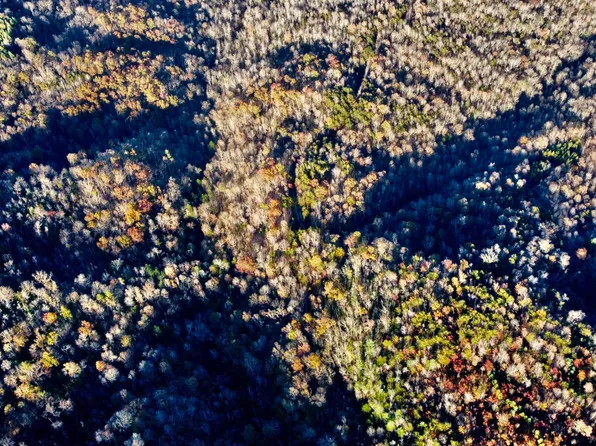 8A Bear Creek Rd, Winfield, TN 37892