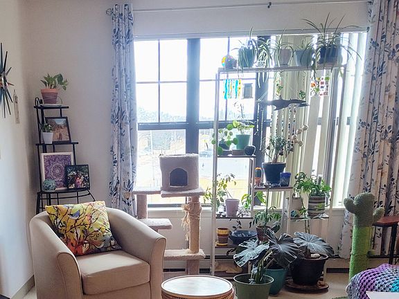 View of living room, bright natural light, spacious, airy, lots of plants. Has a couch, TV and chairs