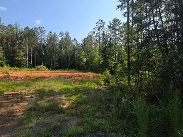 276 Bishop Rd, Meansville, GA 30256