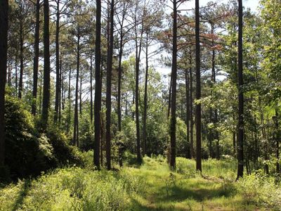 (Undisclosed Address), Notasulga, AL, 36866
