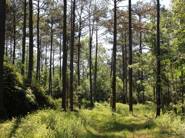 (undisclosed Address), Notasulga, AL 36866