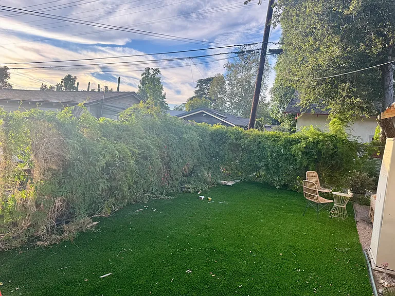 Backyard