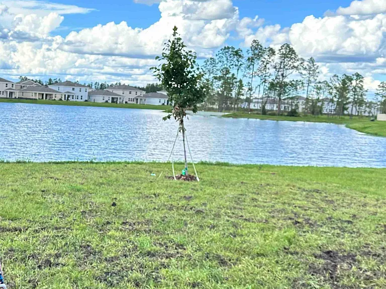 3710 Capri Coast Dr — Photo 3