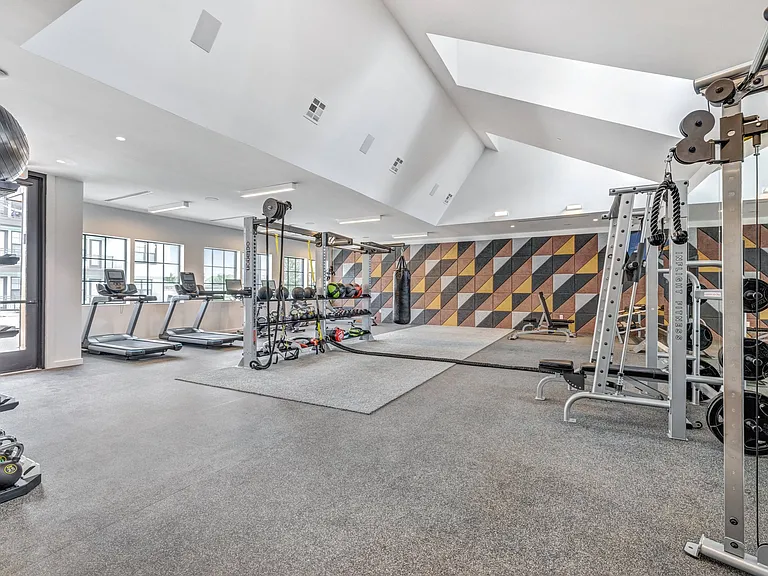 Wellness Gym with Cardio