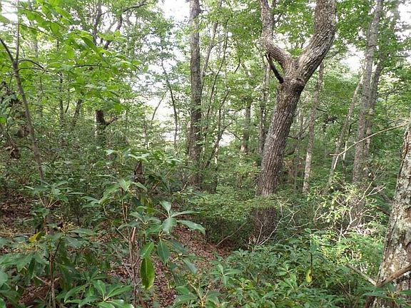 3rd image of 0 W Creek Dr #18