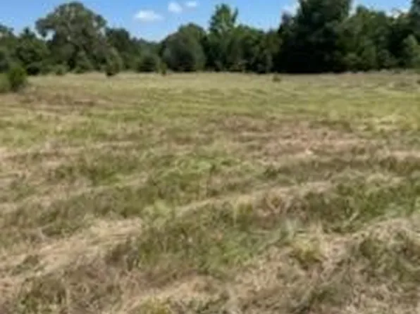 0 County Road 351, Oakwood, TX 75855