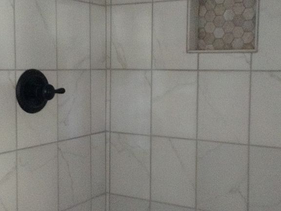 Master bath shower