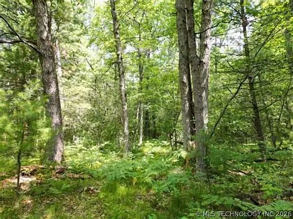 3rd image of Ranch Rd