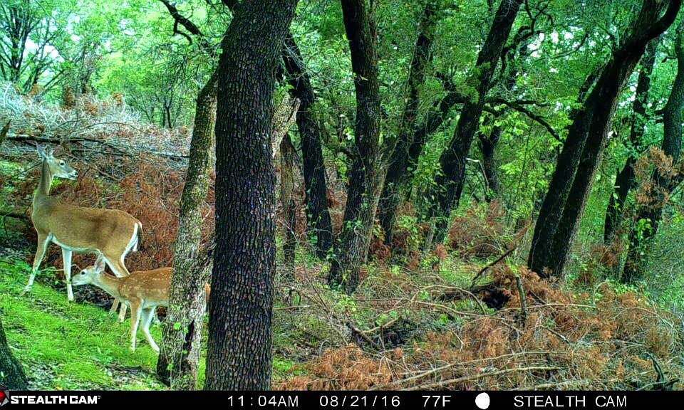 1st image of 228 Private Road 2163