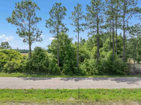 LOT 54 Mineral Springs Rd, Jay, FL 32565