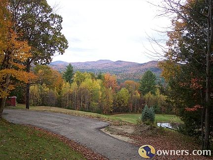 View of back yard #2