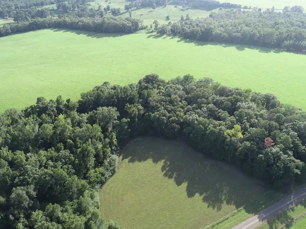 0 Mount Zion Rd, Buena Vista, GA 31803